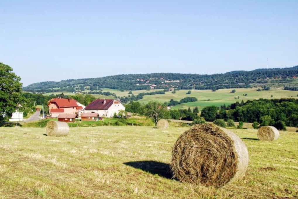 La Maison D'Elodie Foncine-le-Haut Exteriör bild